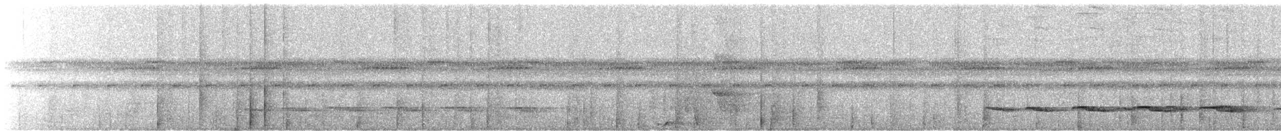 White-shouldered Antbird - ML473994571