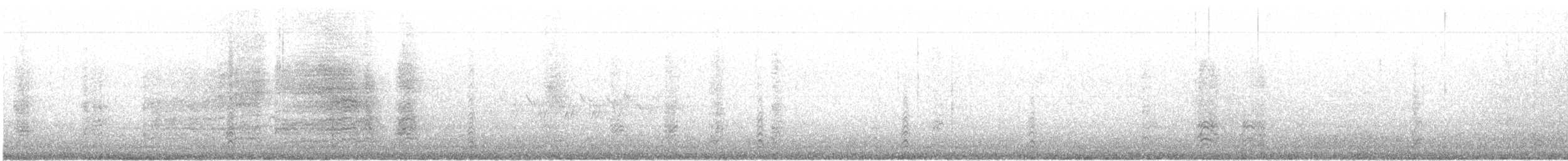 Kanada Kargası (capitalis/bicolor) - ML474009791