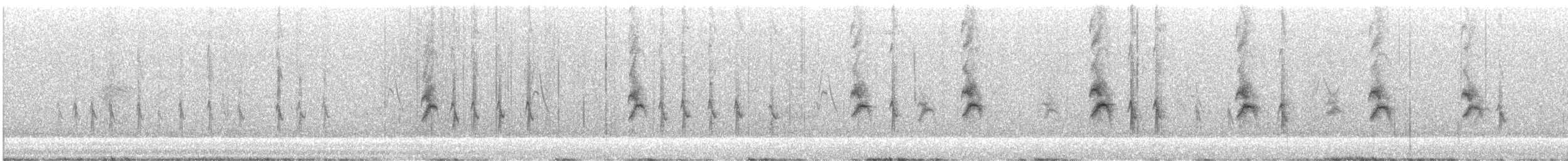 Schwarzstirn-Schneegimpel - ML474021501