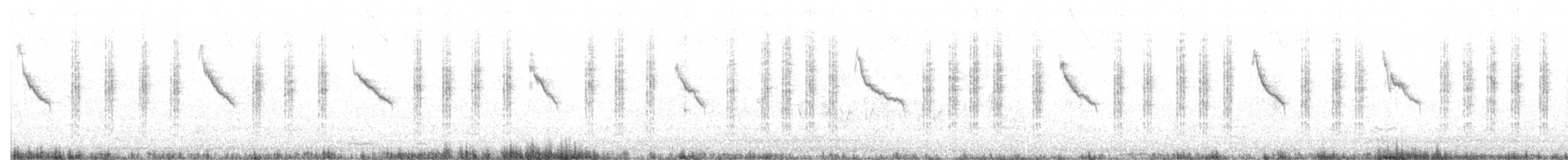 Phragmite des joncs - ML474052941