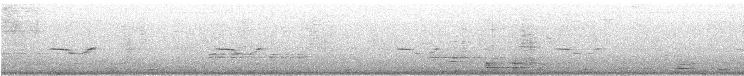 Breitspiegel-Nachtschwalbe - ML474075091