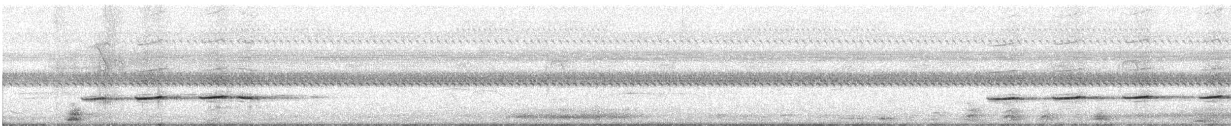 Striped Cuckoo - ML474088901