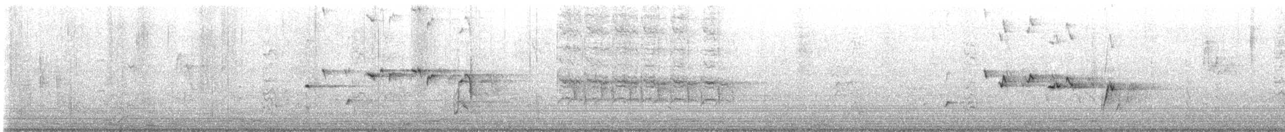 Willie-wagtail - ML474091411