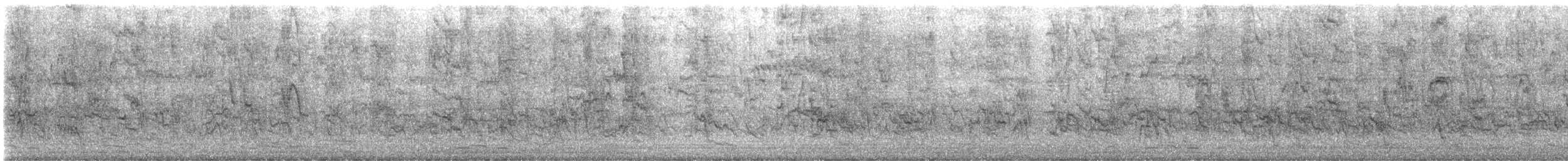 Metallic Starling - ML474091701