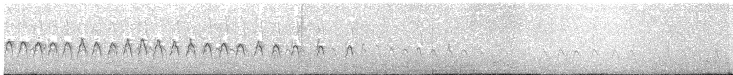 Little Grebe - ML474112181