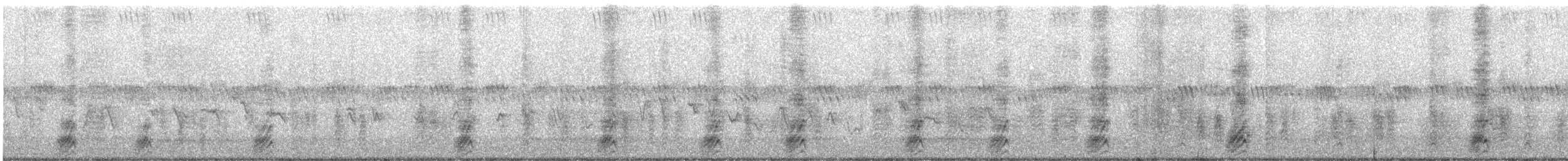 Черноклювая сорока - ML474125761