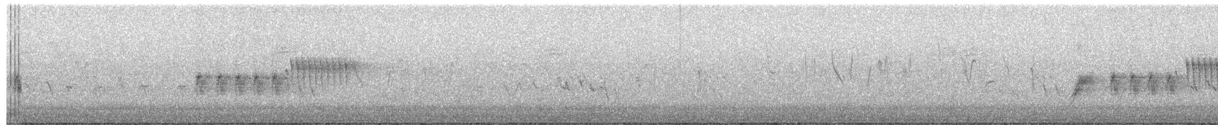 Пятнистый тохи - ML474125911