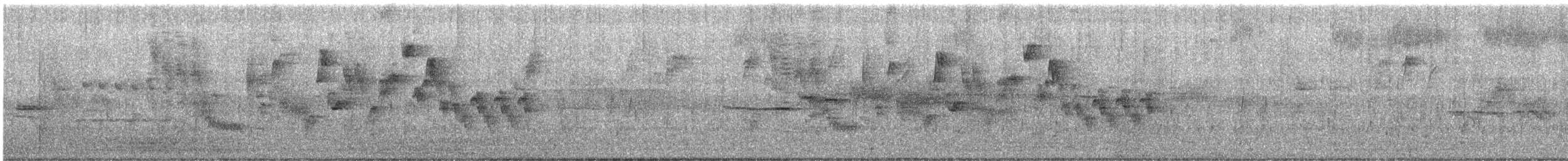 Northern House Wren - ML474250191