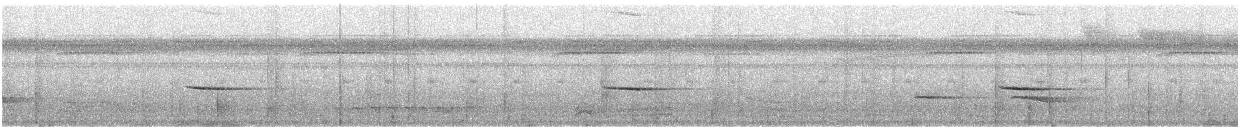 Stripe-throated Wren - ML474336521