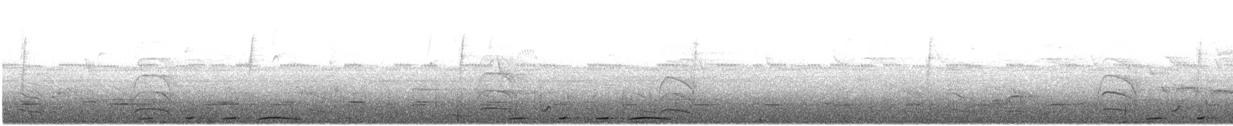 holub krátkozobý - ML474347521