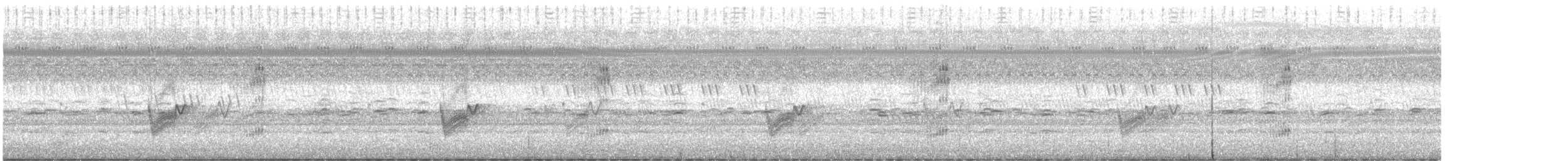 Savannennachtschwalbe - ML474368131