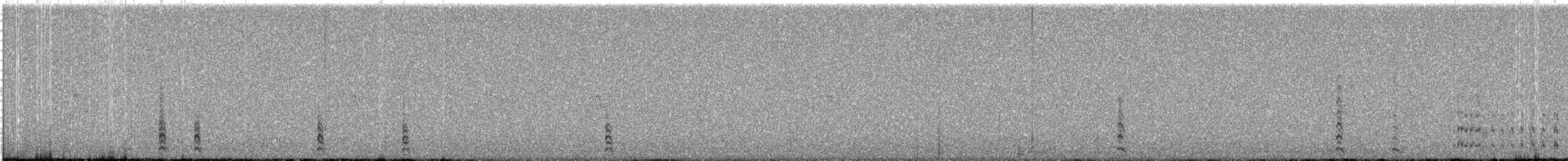 Белохвостая куропатка - ML474402521