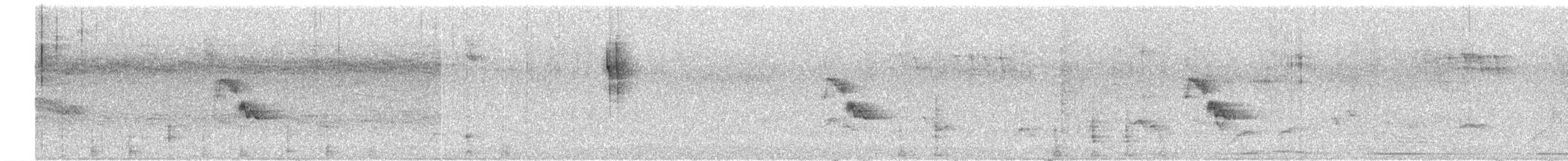 Geniş Kuyruklu Kolibri - ML474421481