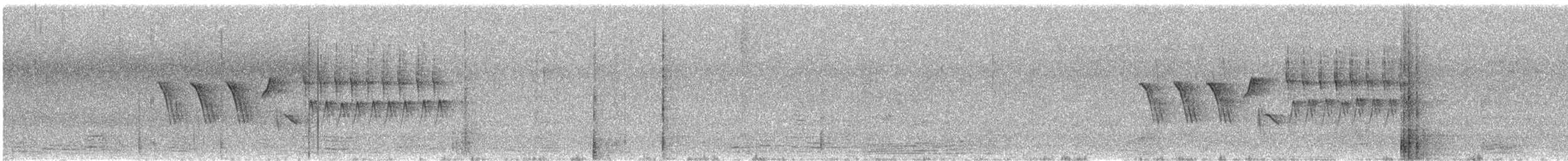 Geniş Kuyruklu Kolibri - ML474421491