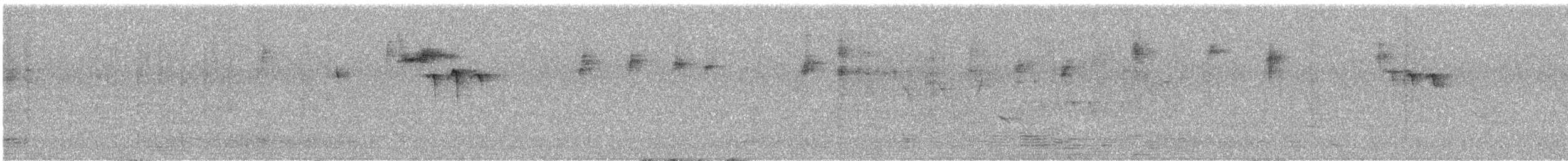 Geniş Kuyruklu Kolibri - ML474421531