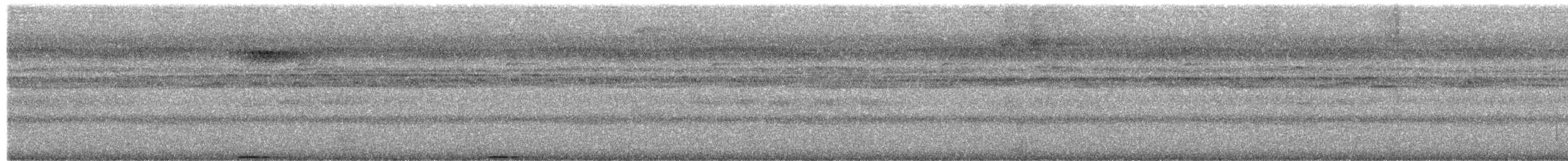 褐林鴞 - ML474424921