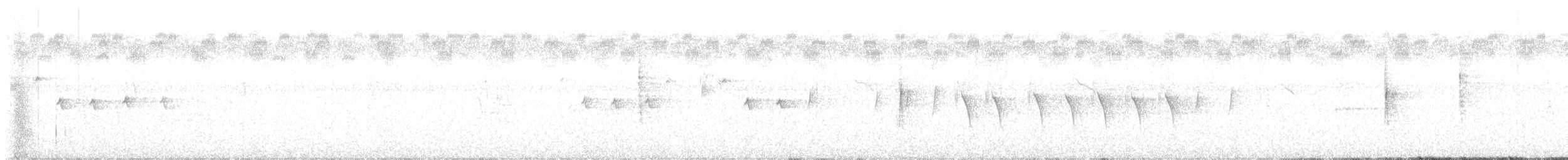 "Шишкар ялиновий (Northeastern, або тип 12)" - ML474469131