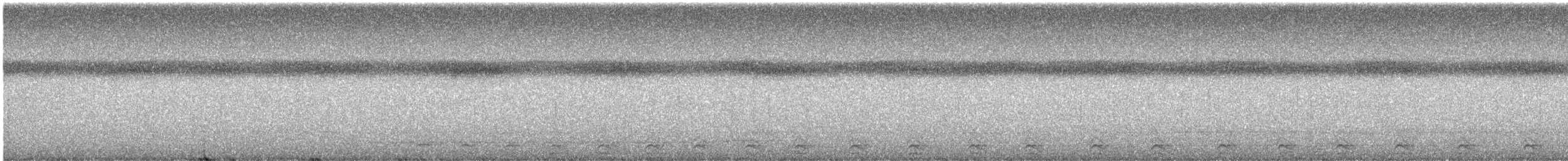 Slaty-tailed Trogon - ML474471681