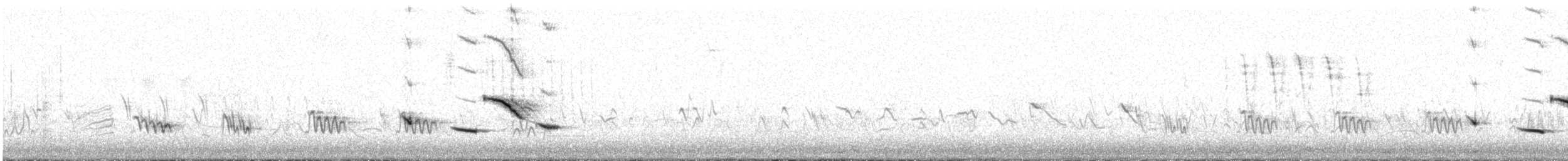 Chihuahuan Meadowlark - ML474499071