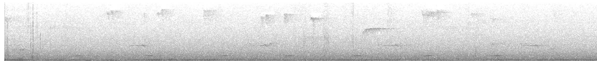 セアカウズラバト - ML474518371