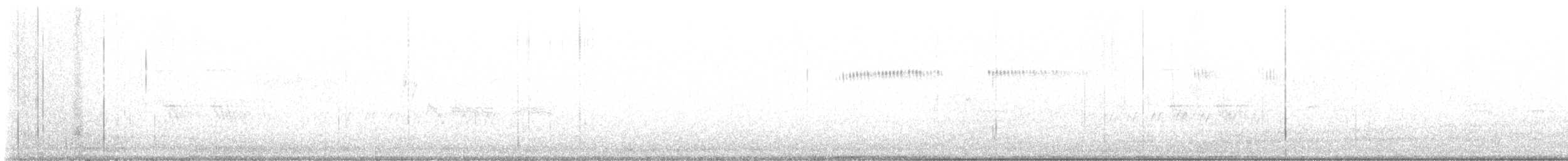 Широкохвостый колибри - ML474531761