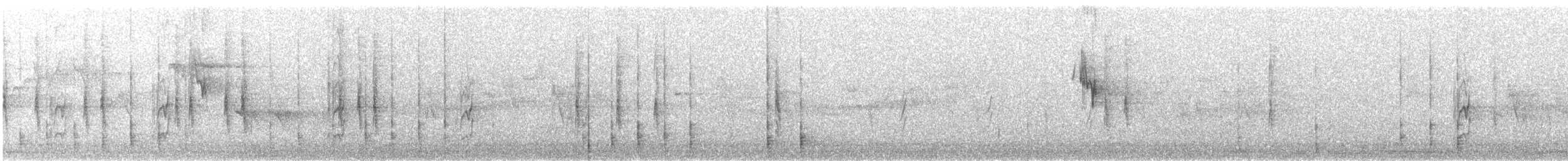 Braunstirnspecht - ML474532591