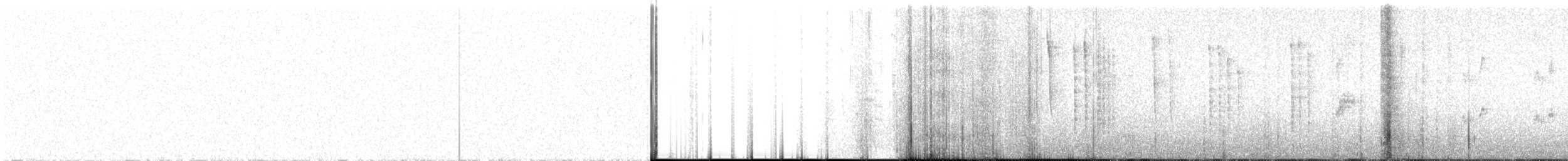 White-eared Hummingbird - ML474535131