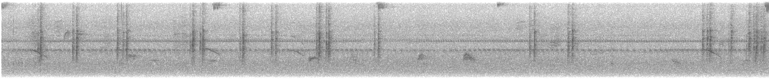 Spot-necked Babbler - ML474539991