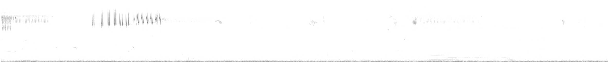 Bairdammer - ML474598871
