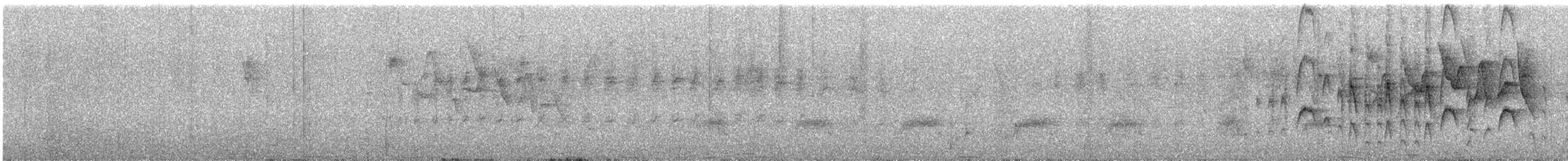 nordkrattyrann - ML474763471