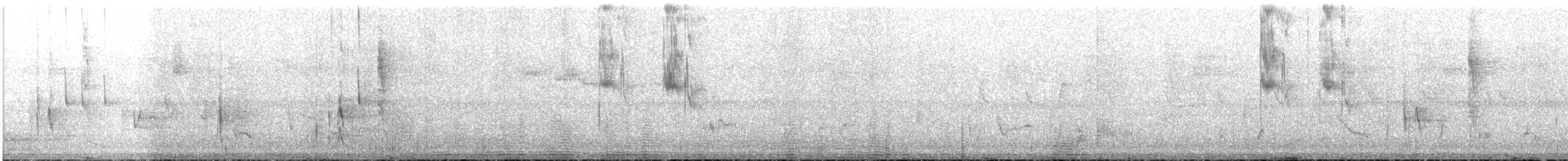 Colibri zémès - ML474779161