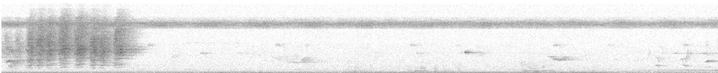 Spangled Drongo - ML474801001