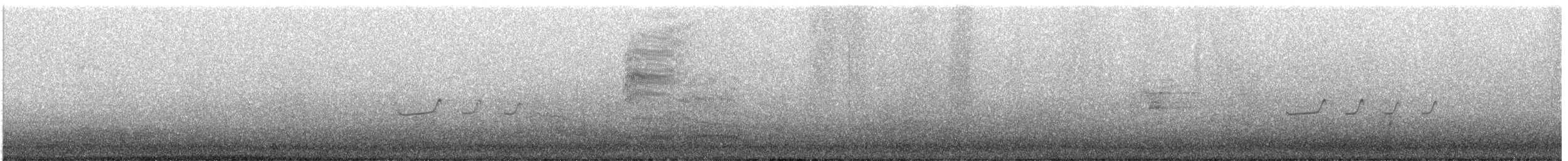 Цагаан сүүлт хөгчүү - ML474803801