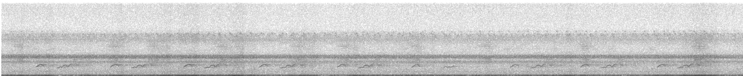 Eastern Whip-poor-will - ML474810211