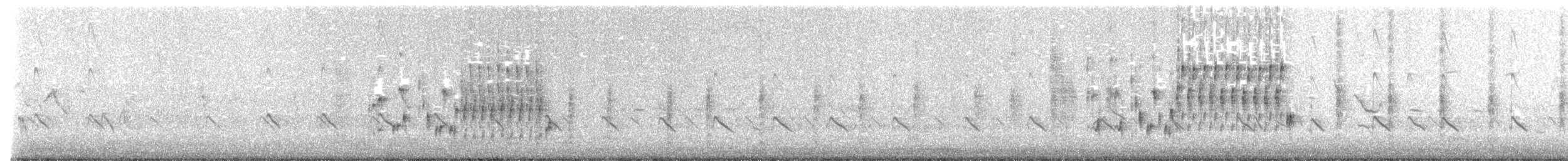 Troglodyte des marais - ML474836021