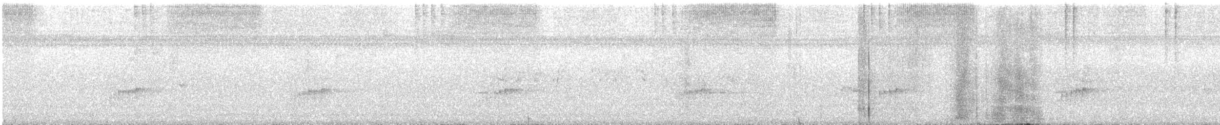 Поплітник каролінський - ML474897251