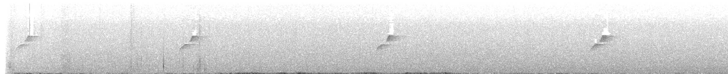 Batı Amerika Sinekkapanı (occidentalis/hellmayri) - ML474916971