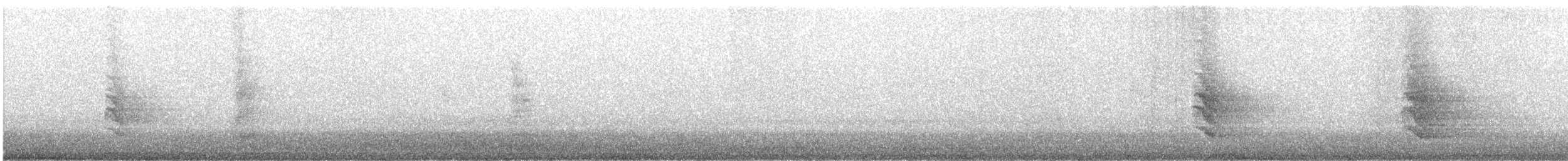 Hirondelle à front blanc (groupe pyrrhonota) - ML474953591