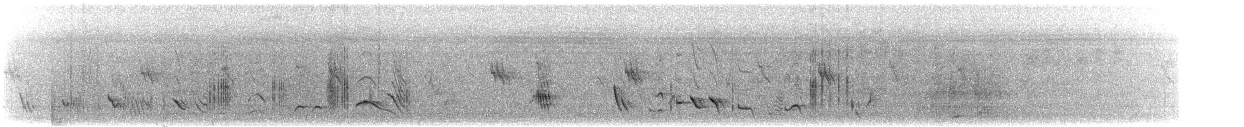 Büyük Mor Kırlangıç (hesperia) - ML474975921