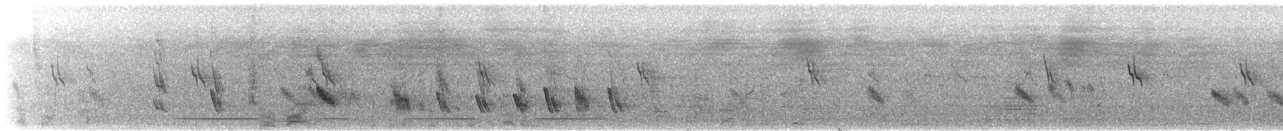 Büyük Mor Kırlangıç (hesperia) - ML474975961