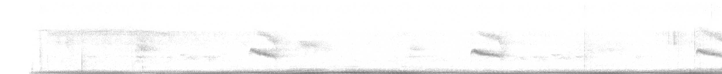Eulerschnäppertyrann - ML475000471