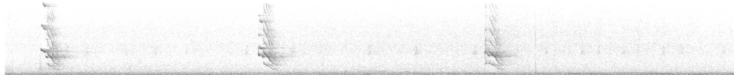 gullspett (luteus x cafer) - ML475120591