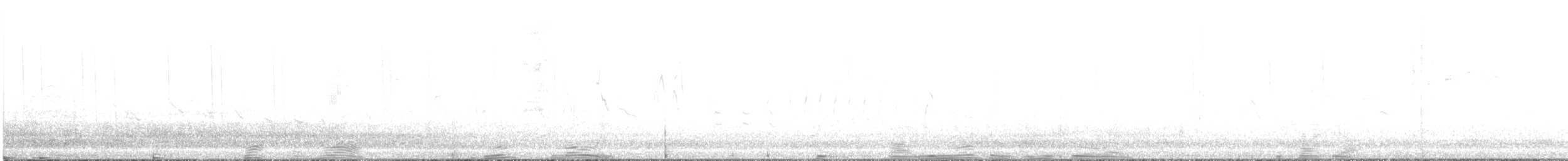 シロハラアカヒゲハチドリ - ML475121911