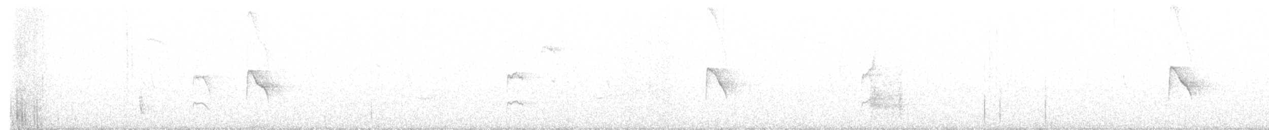 Белобровая тираннита - ML475154421