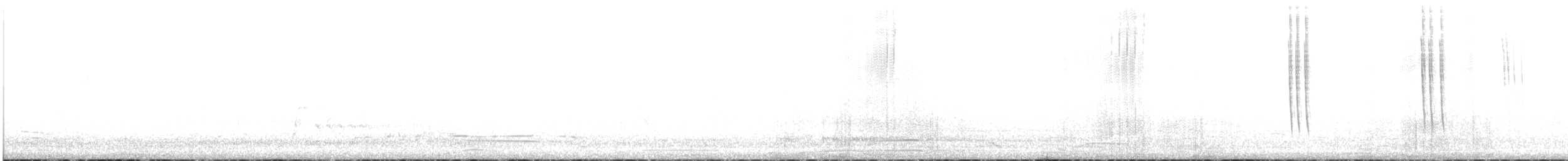 Colibri charmant - ML475157531