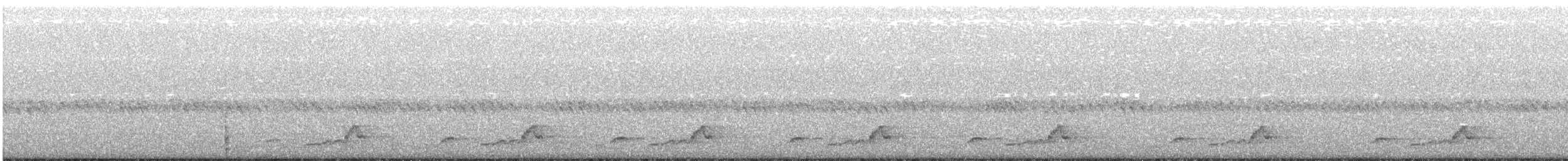Schwarzkehl-Nachtschwalbe - ML475207821