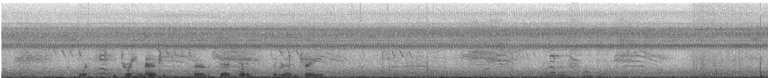 Amerikateichhuhn - ML475207901