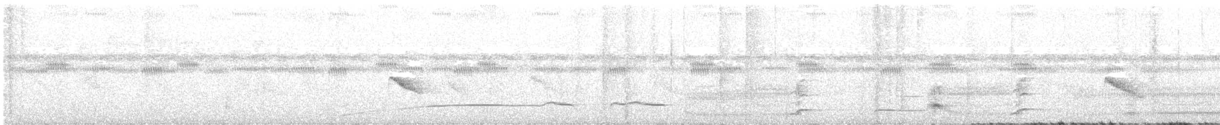 holub mohelský - ML475229531