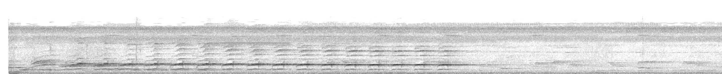 Paradisier petit-émeraude - ML475247621