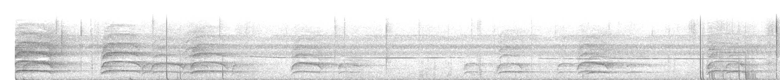 Gray Crow - ML475249571